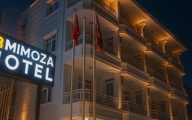 Mimoza Konyaaltı